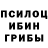 Псилоцибиновые грибы Cubensis Marko8kin Games