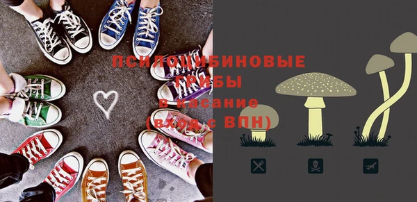 дурь Алзамай