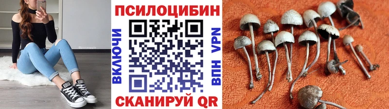 где продают   гидра ссылки  Псилоцибиновые грибы MAGIC MUSHROOMS  Анива 